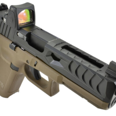 #2 - NORSSO Reptile Slide